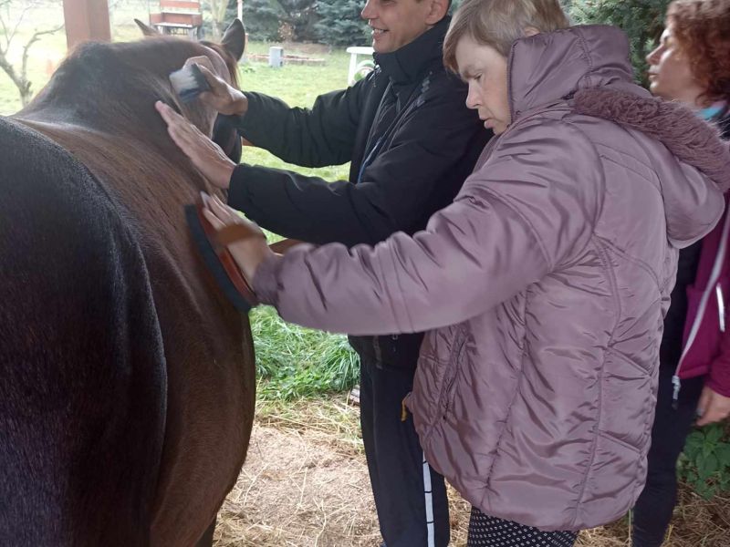 Hiporehabilitace nejen pro děti