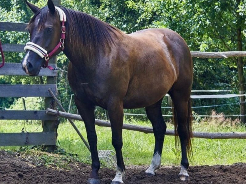 Podpořte nás na Doniu