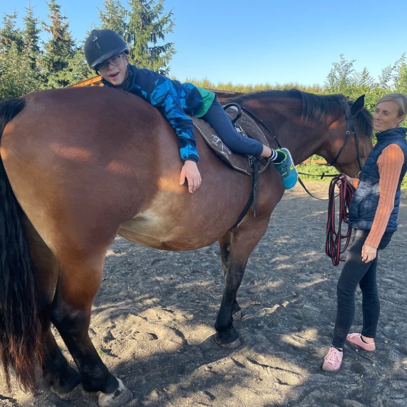 Hiporehabilitace v pedagogické a sociální praxi