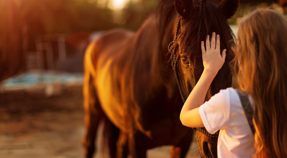HIPOREHABILITACE V PEDAGOGICKÉ A SOCIÁLNÍ PRAXI