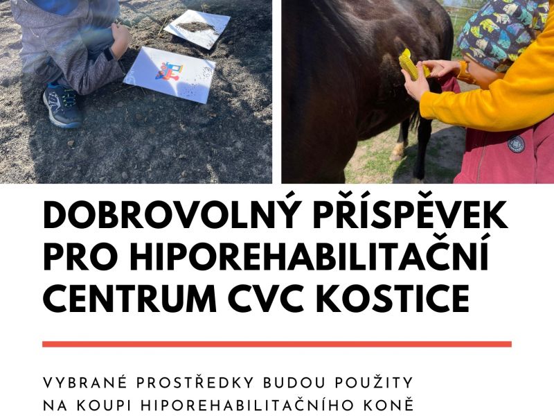 Vánoční jarmark v Kosticích