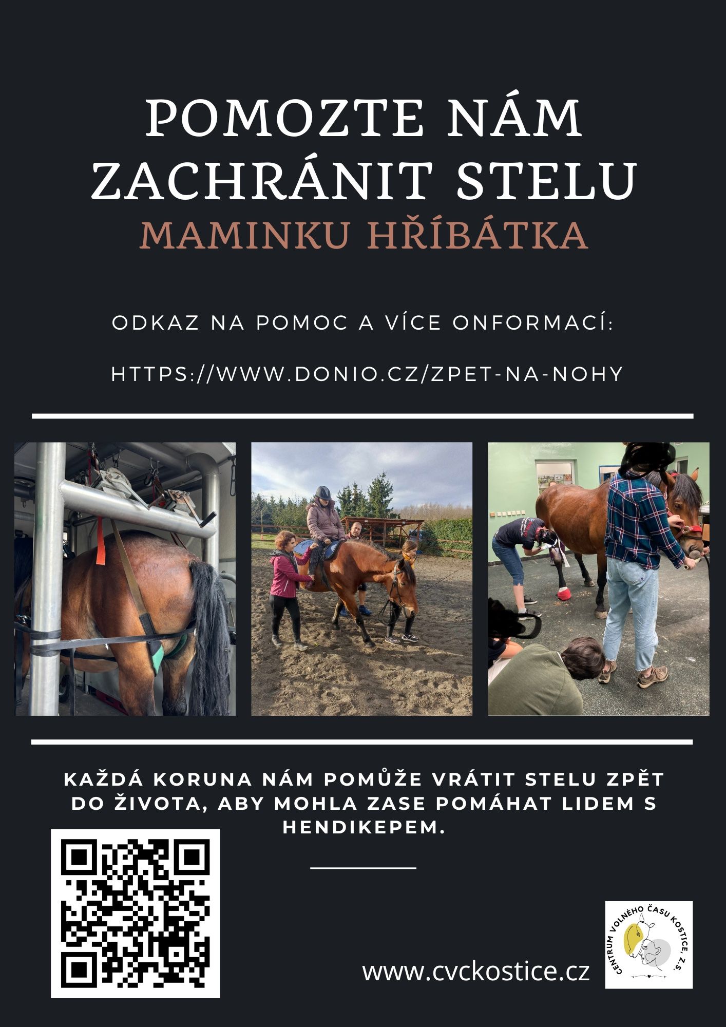 Pomozte nám zachránit Stelu, maminku hříbátka