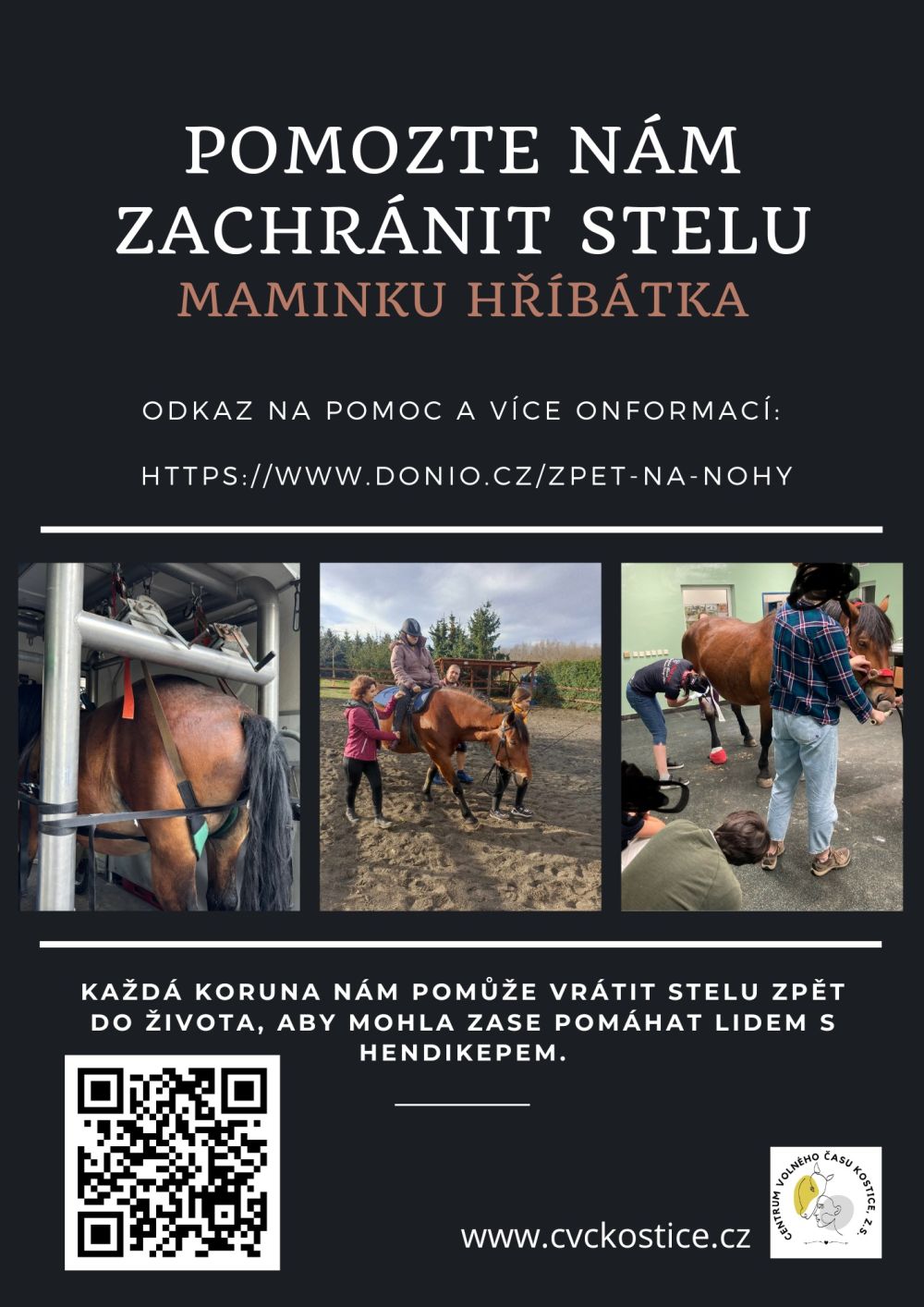 Pomozte nám zachránit Stelu, maminku hříbátka